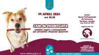 Passeggiate con i cani: incontro informativo per cittadini e proprietari