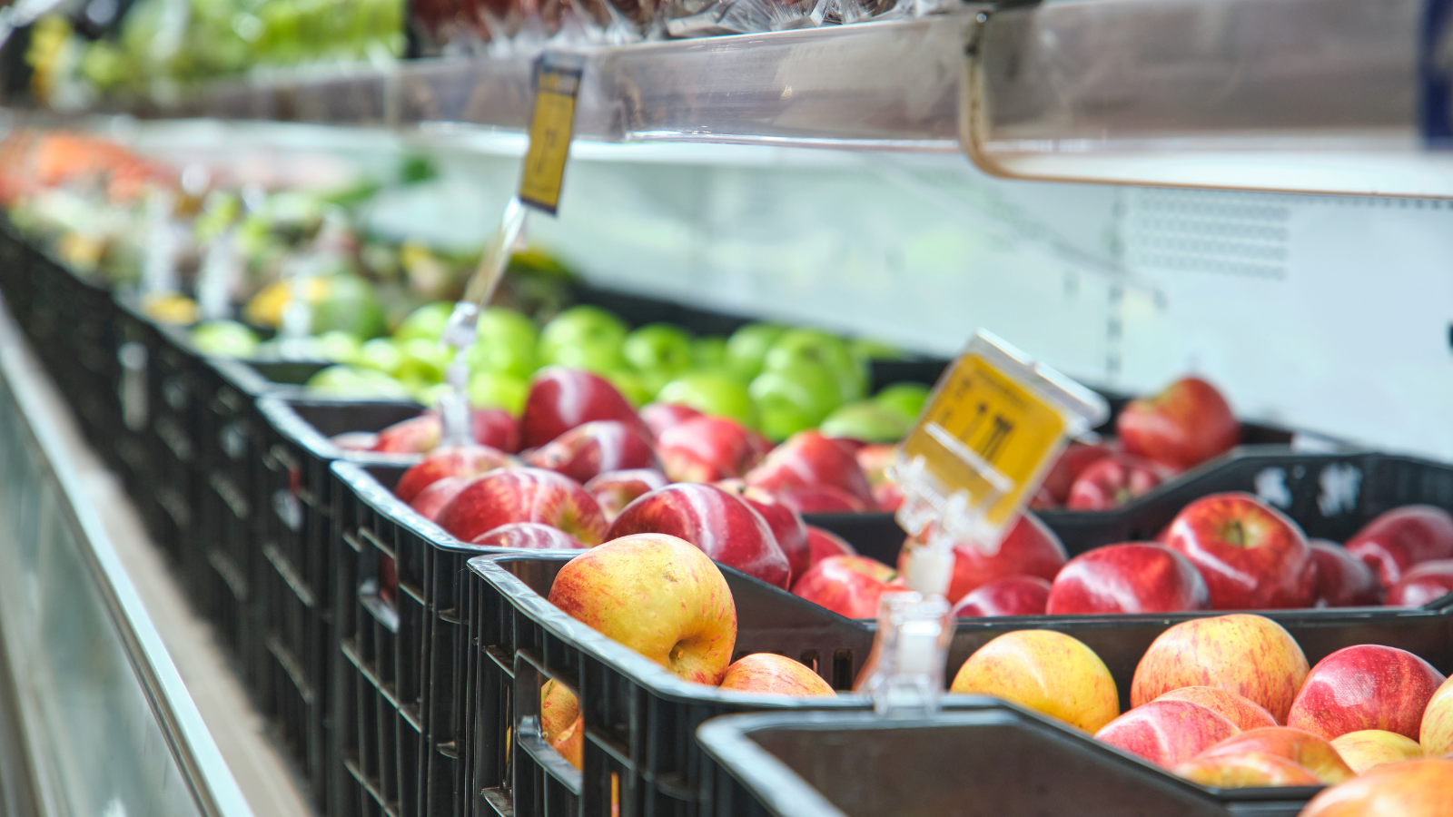 Commercio all\'ingrosso